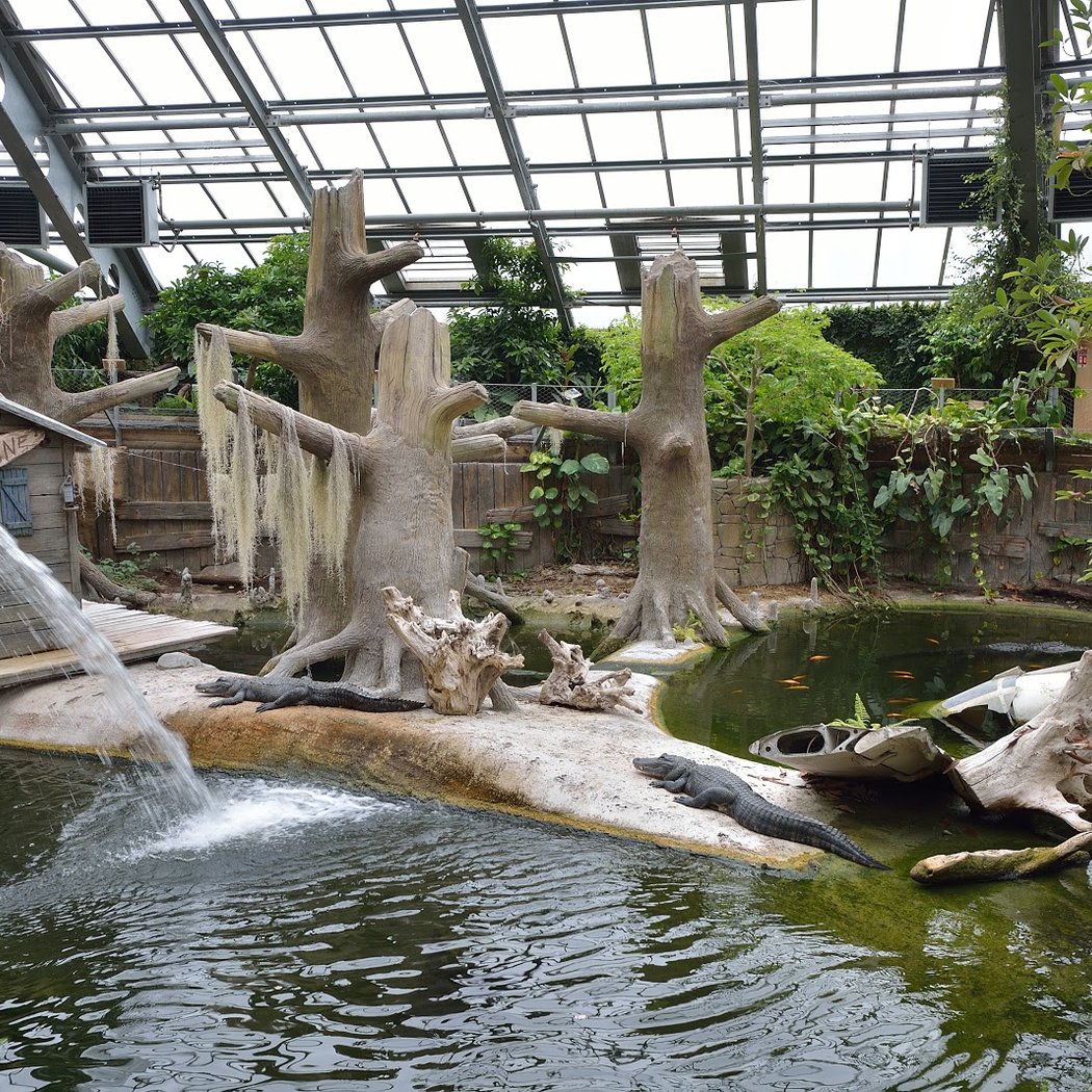 La Planète des Crocodiles 2