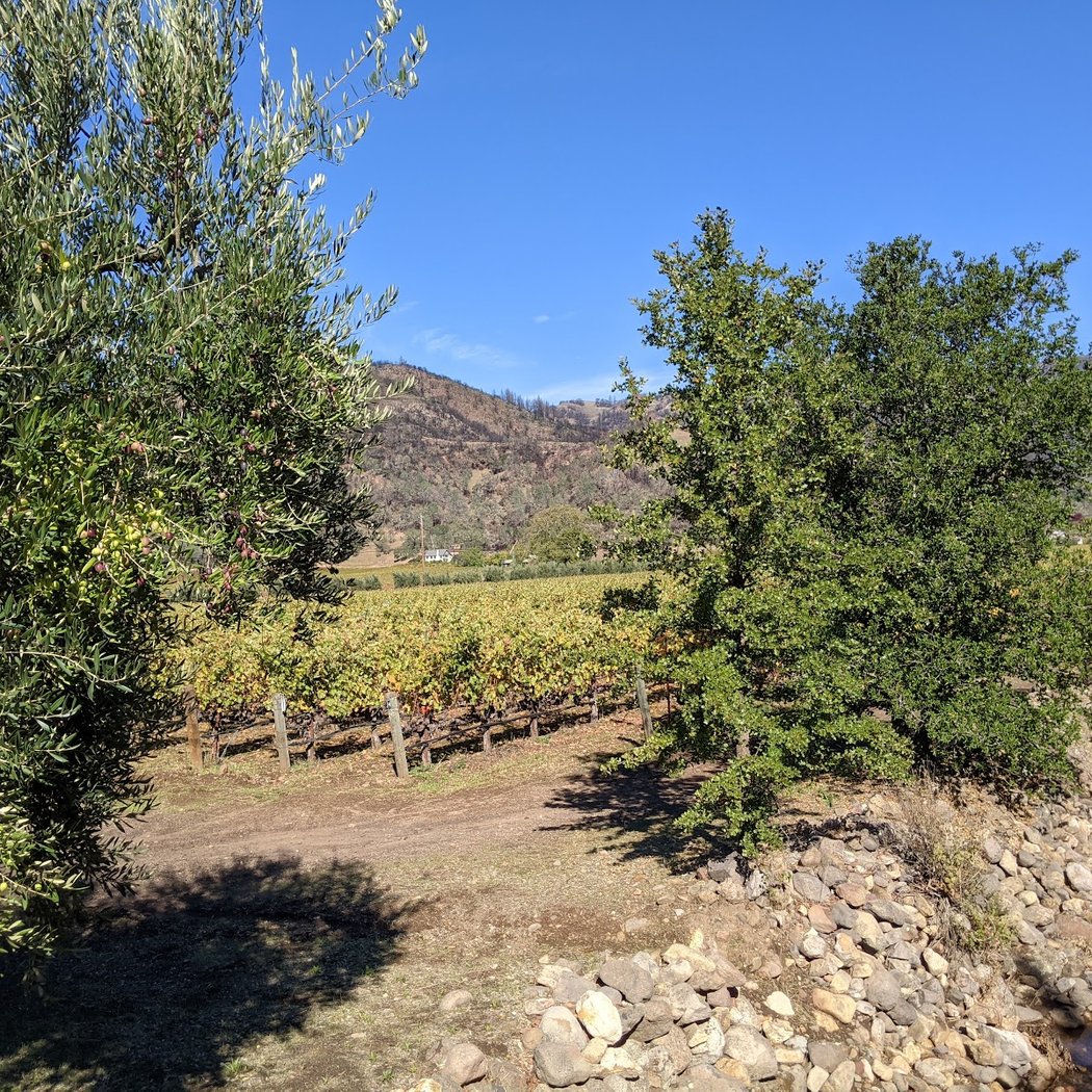 Eisele Vineyard 3