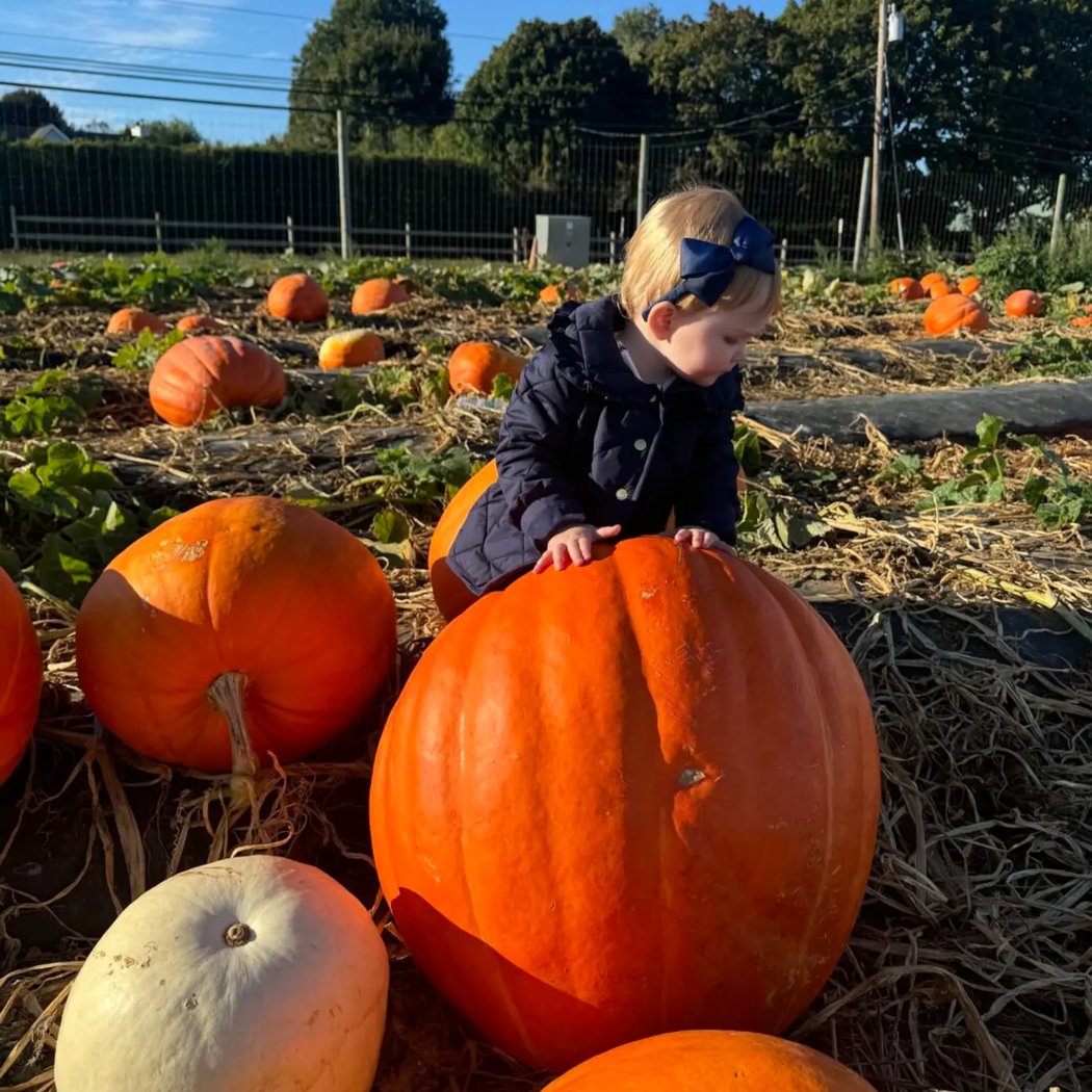 Hank's Pumpkintown 2