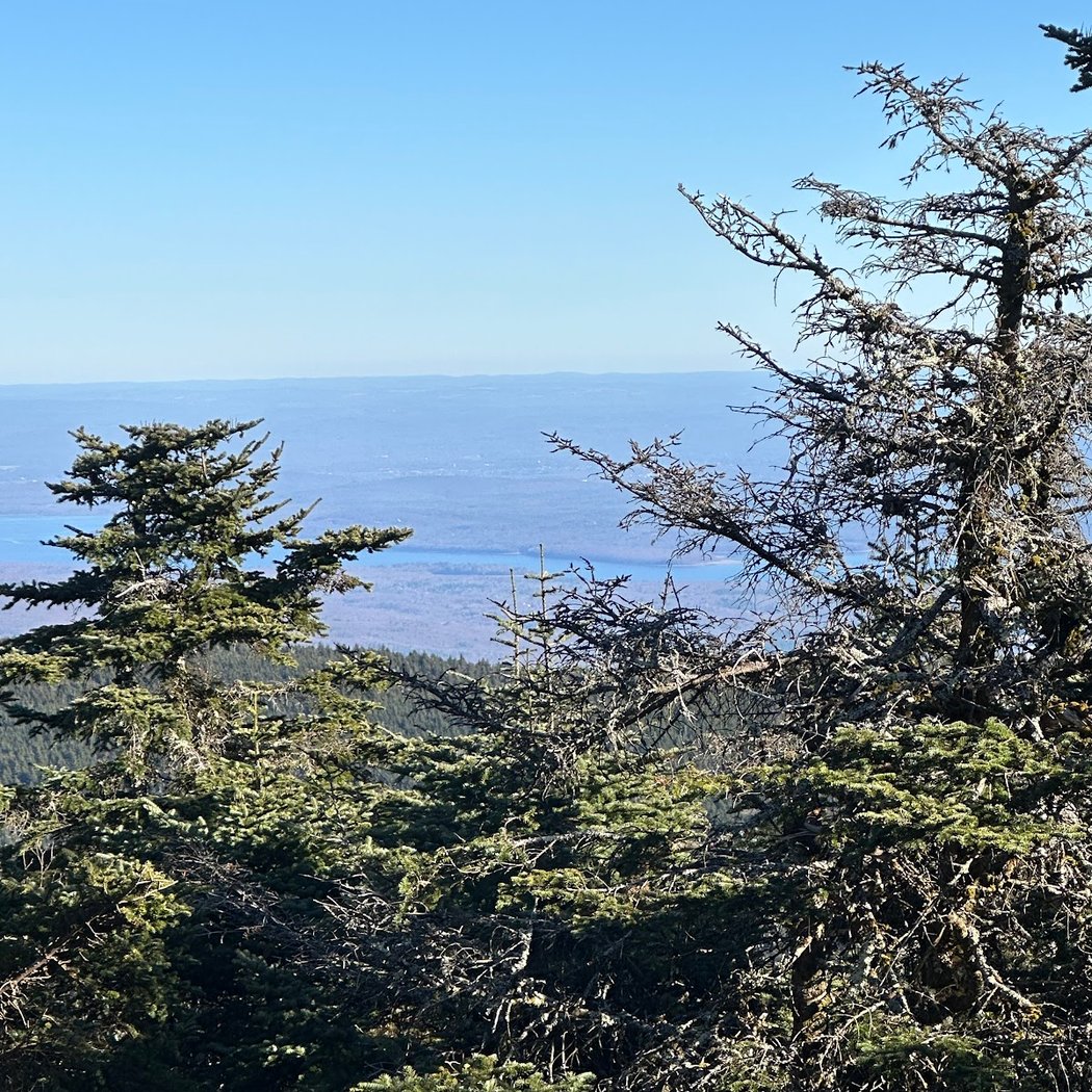 Catskill Forest Preserve 3