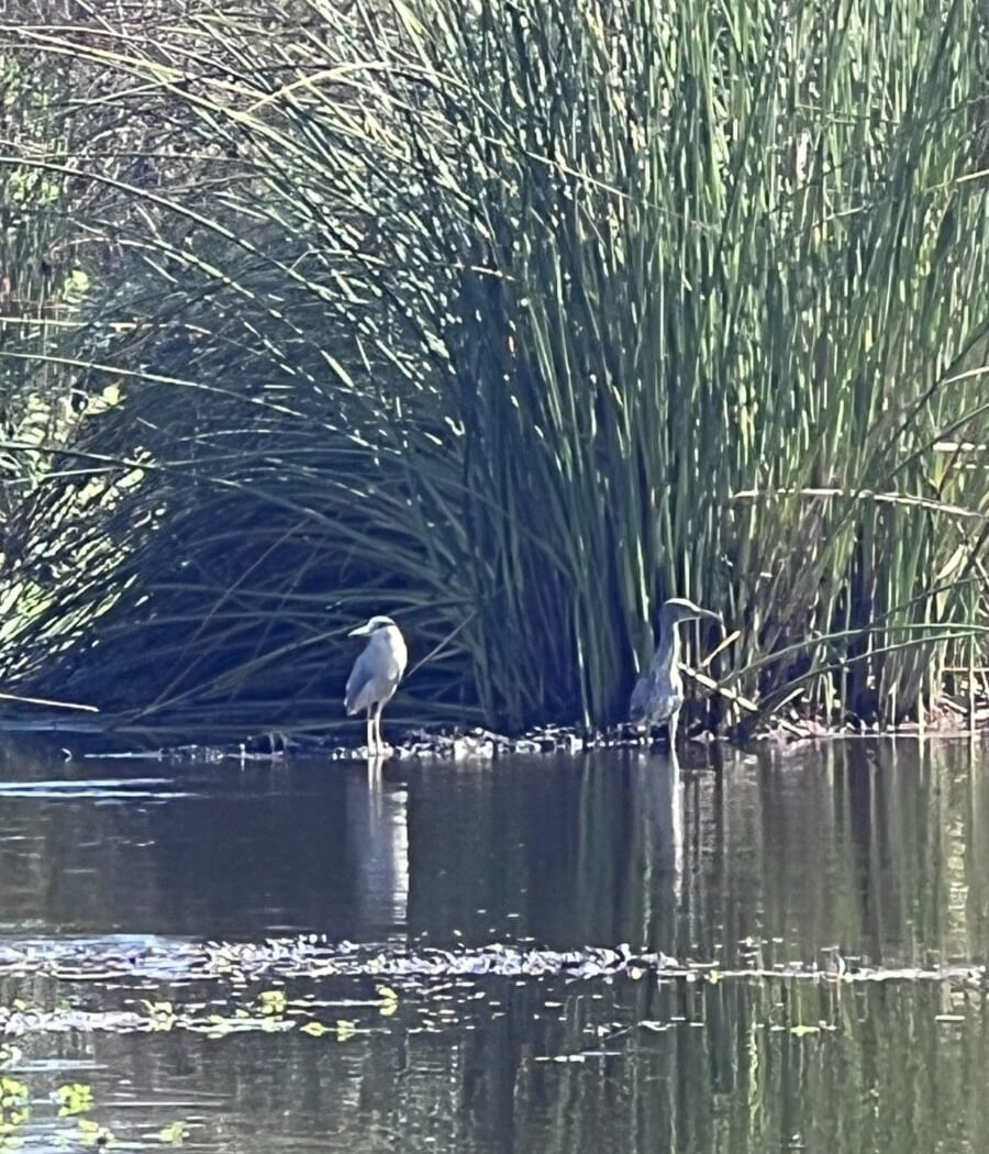 Nature Storytime 3