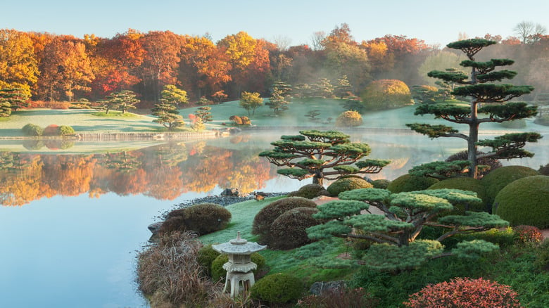 Chicago Botanic Garden 1