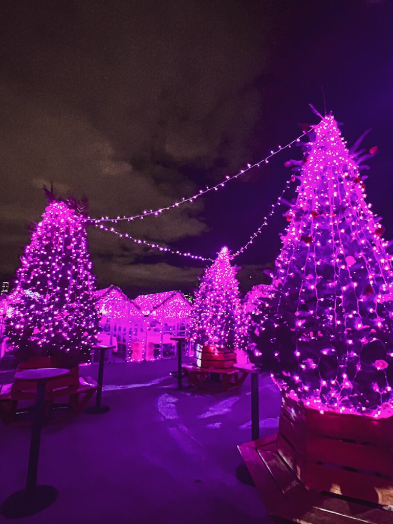 Pink Pier at Watermark - NYC 2