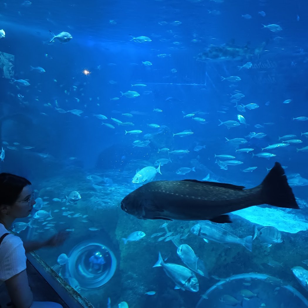 Explore the Acuario de Sevilla 3