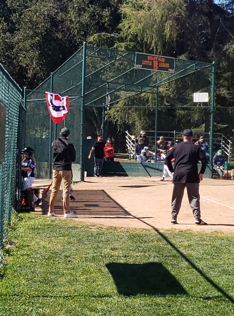 Willow Glen Little League 1