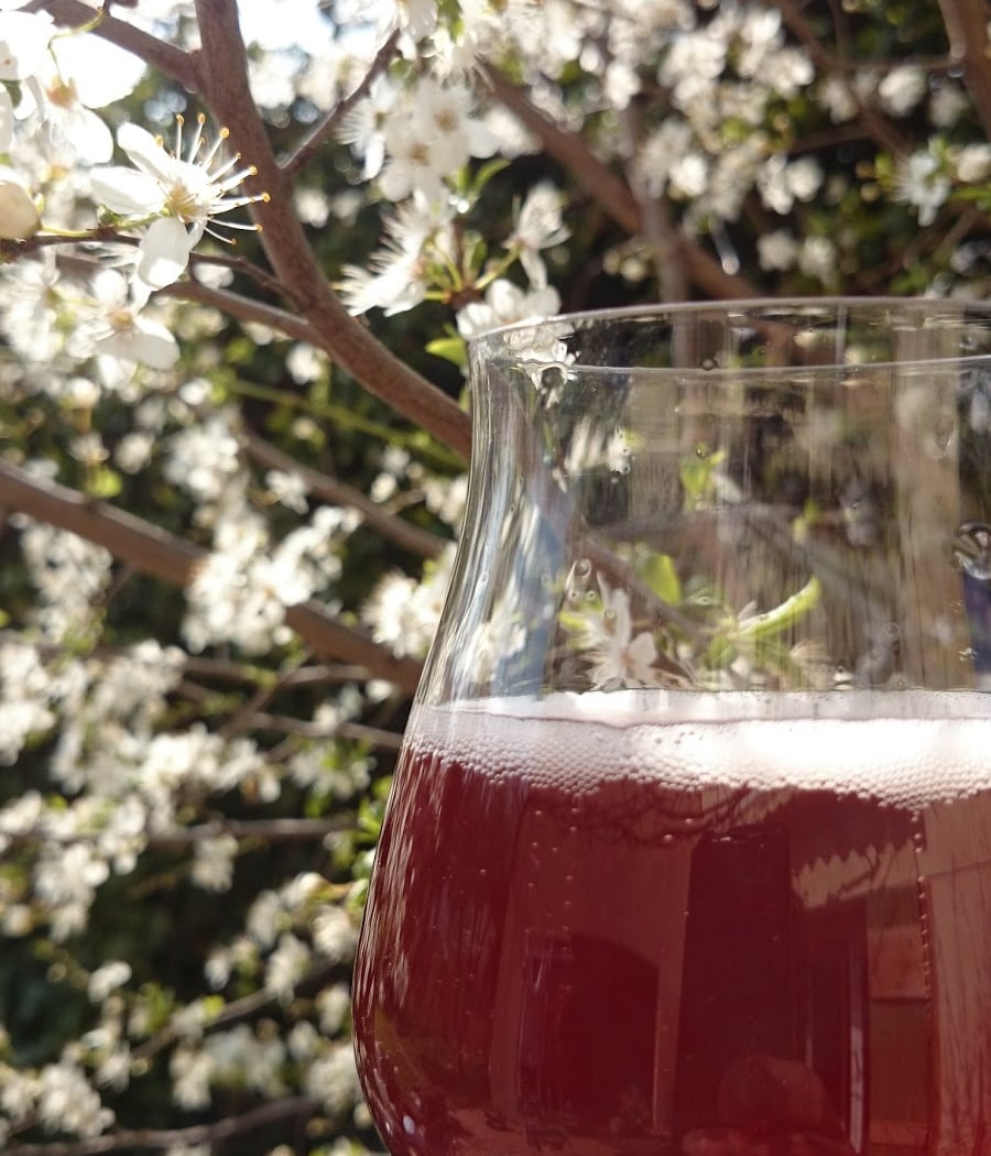 Brasserie Artisanale Arlésienne 3