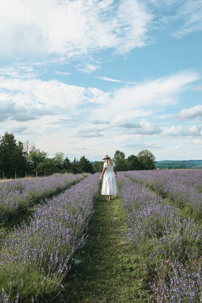 Lavenwood Farms 1