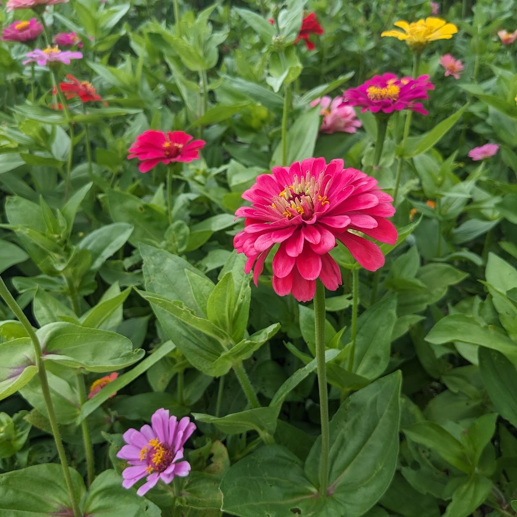 Taliaferro Farms 2