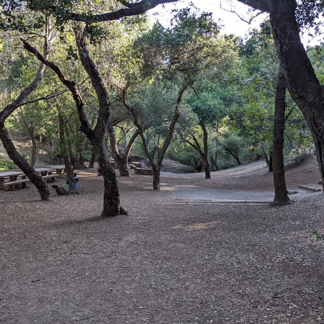 Tu B’Shvat Habitat Restoration 2