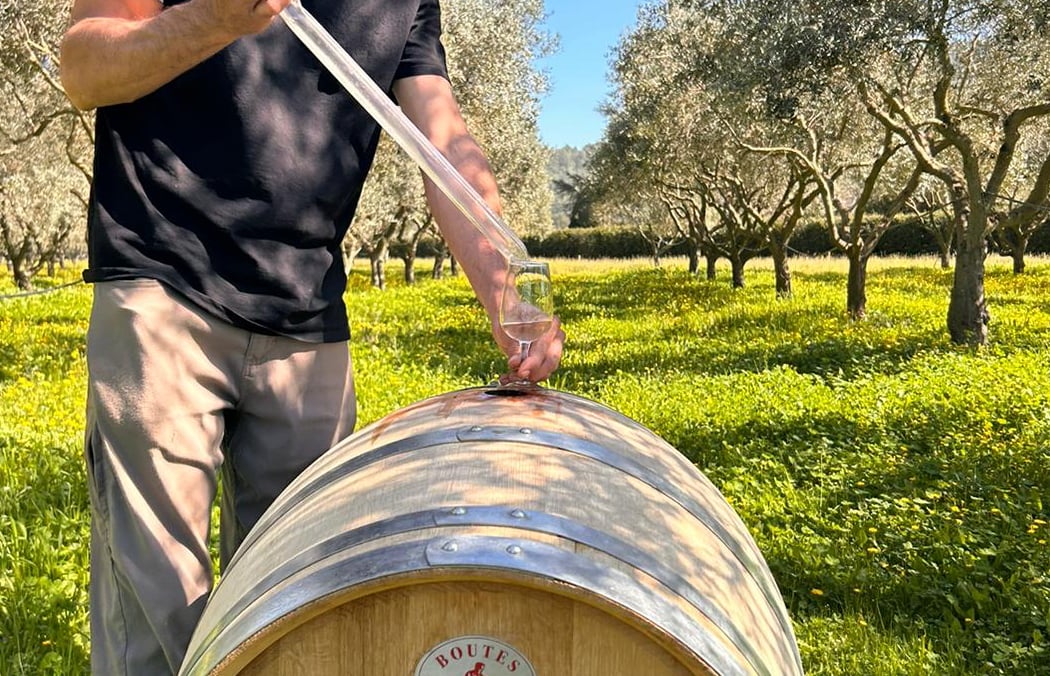 DOMAINE SOLIGNAC - V'ART OLIVE 2