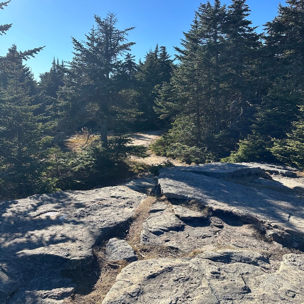 Catskill Forest Preserve 2