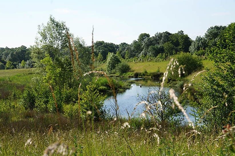 Espace naturel sensible du val de Choisille 2