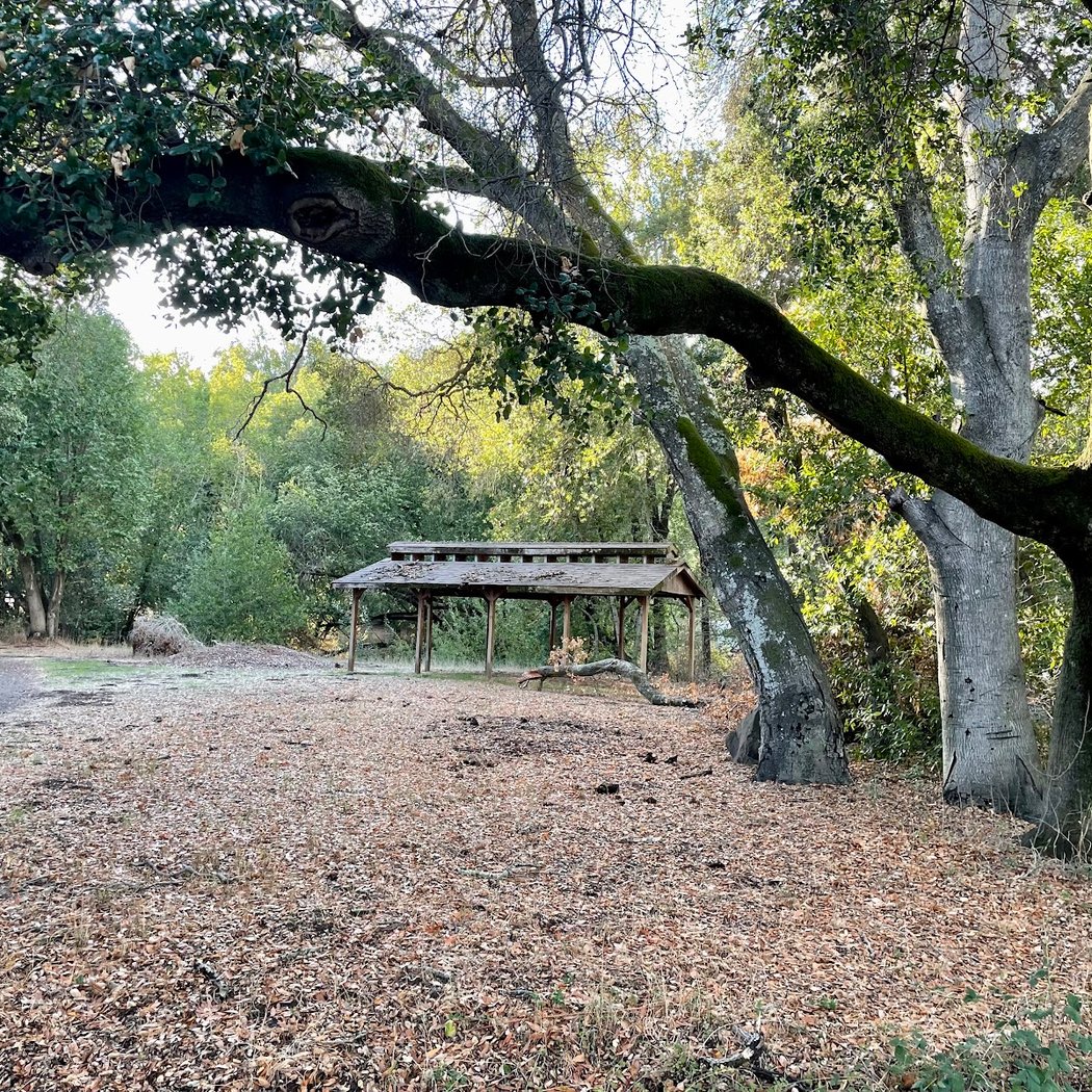 Ohair Park 2