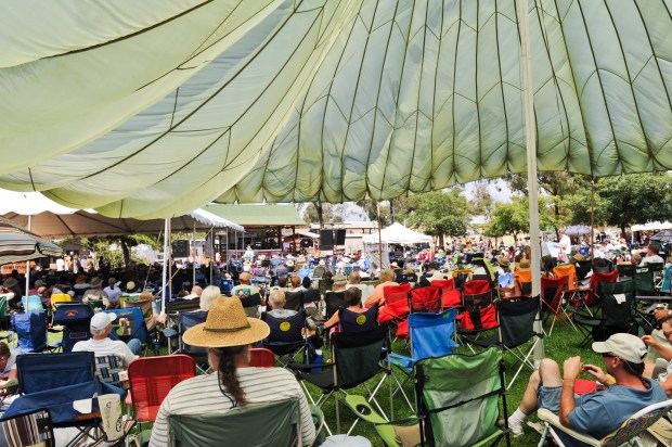 Summergrass 3