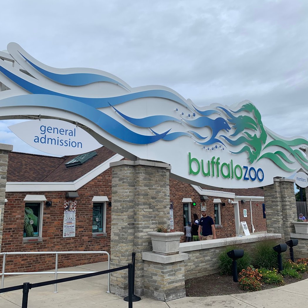 The Buffalo Zoo 2