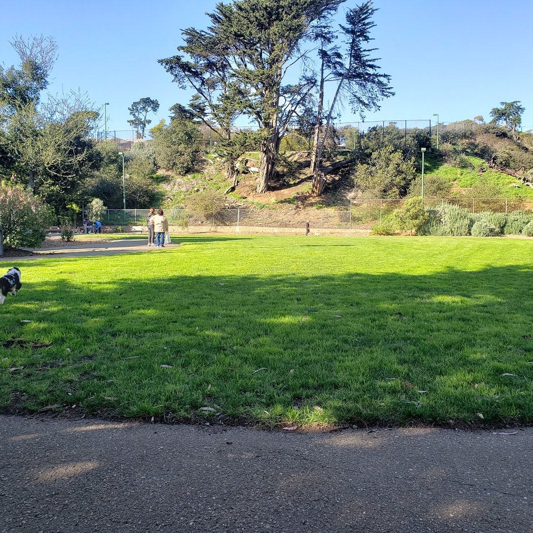 St. Mary's Dog Park 3