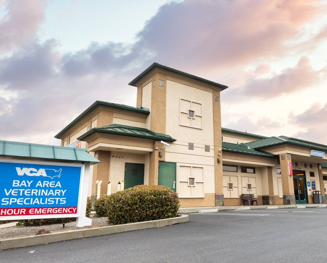 VCA Bay Area Veterinary Specialists & Emergency Hospital 2