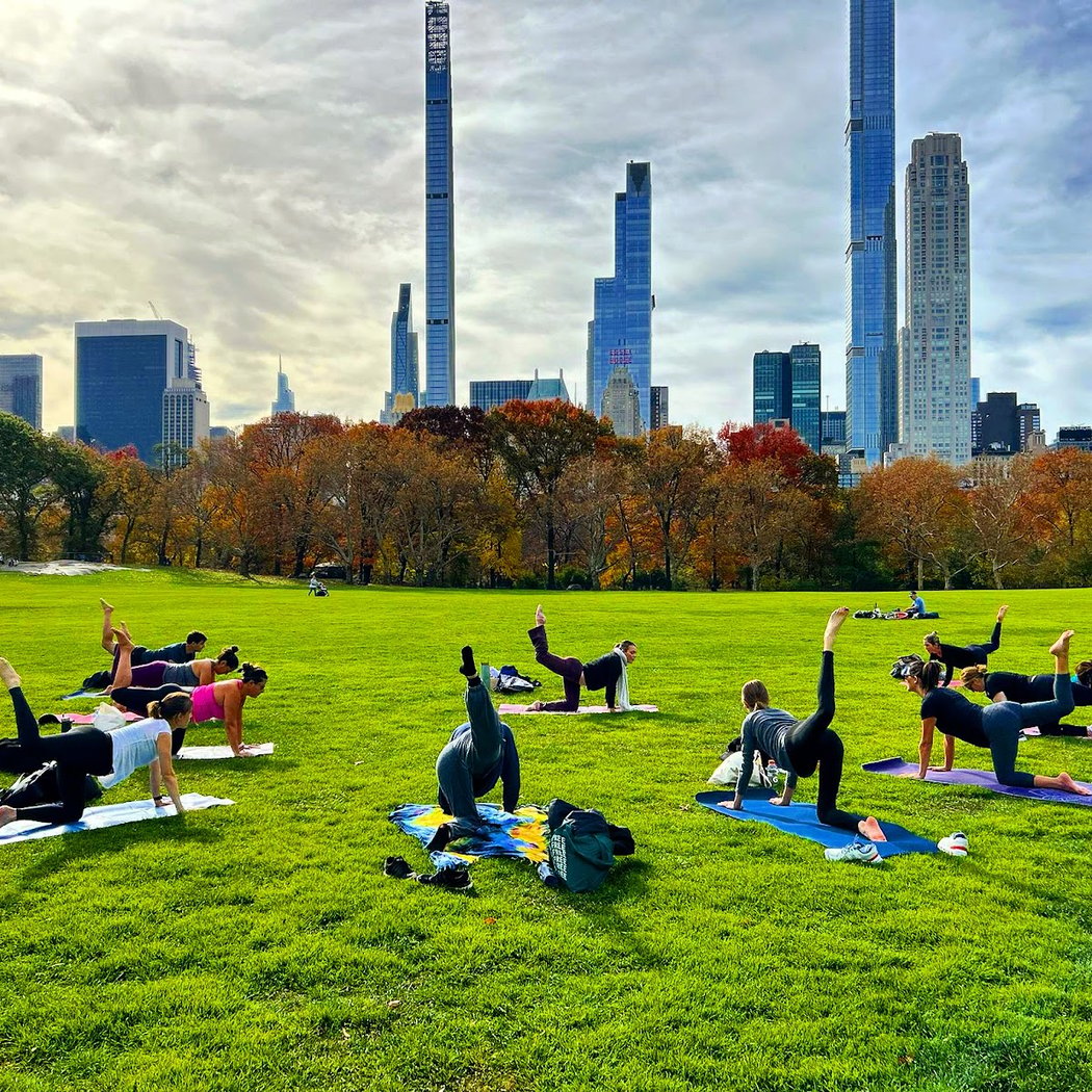 Yoga in Central Park 1