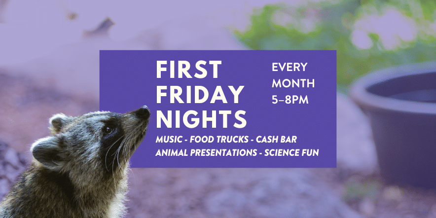 First Friday Nights