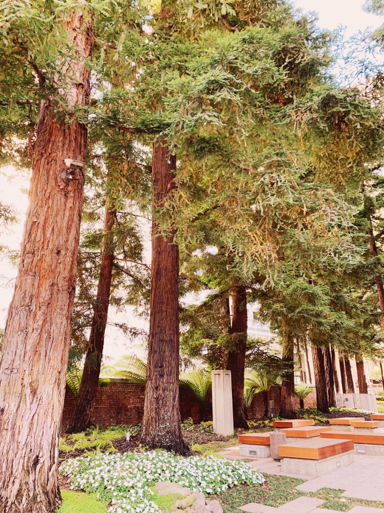 Transamerica Redwood Park 3