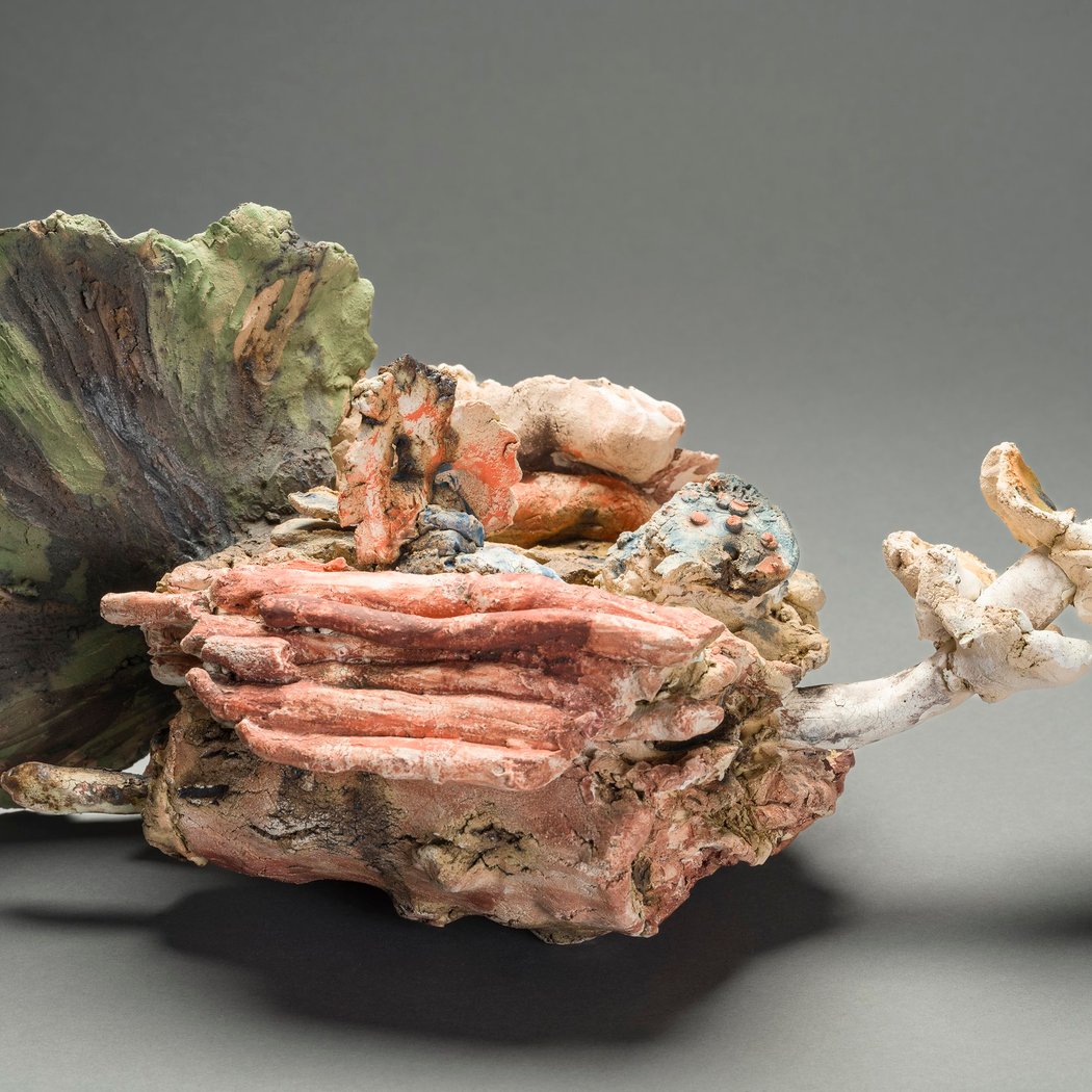 Judy Hoffman Solo Exhibition Evolvers and Wildtypes 1