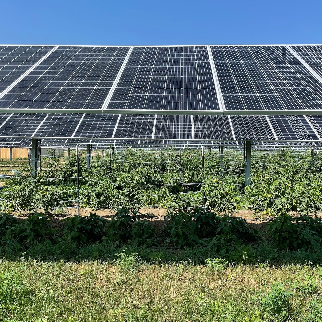 Jack's Solar Garden 2