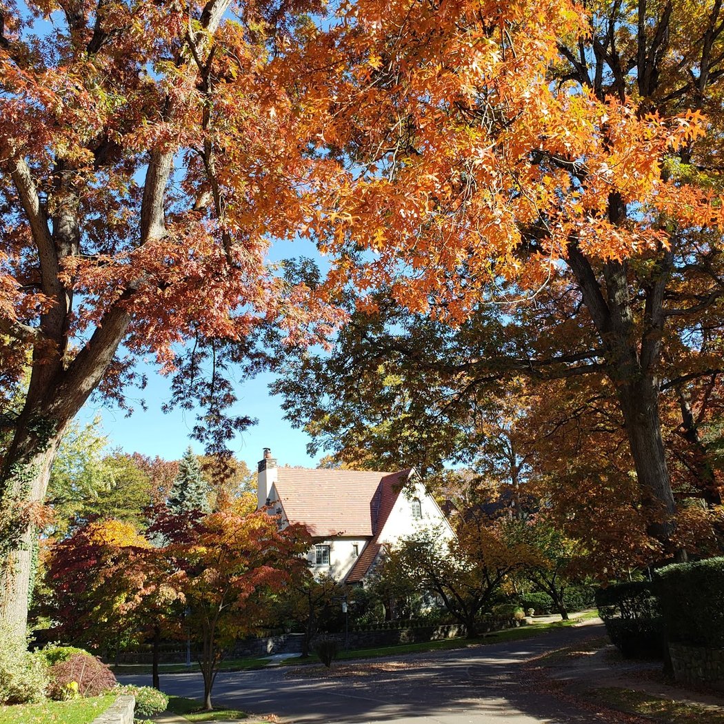 Forest Hills Gardens 1