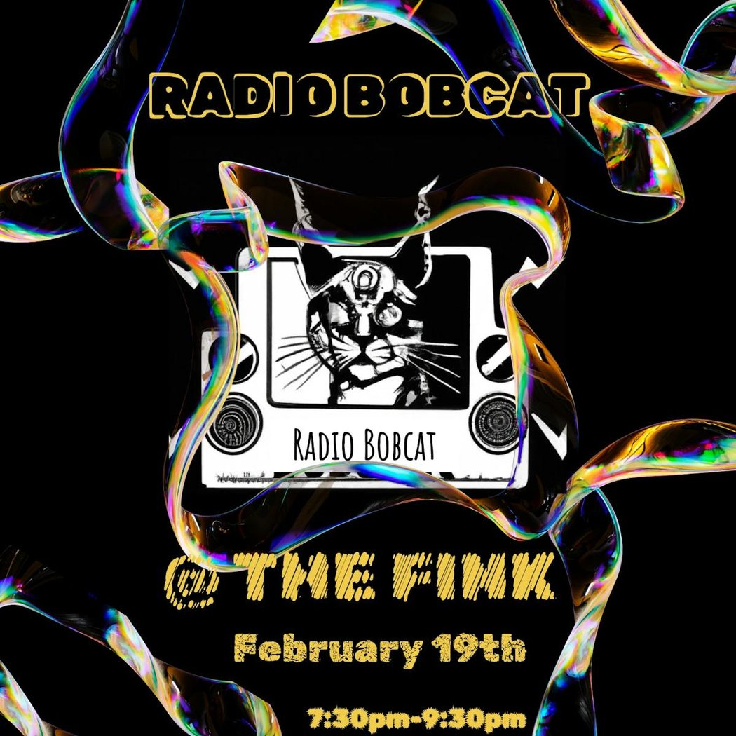 RADIO BOBCAT 1