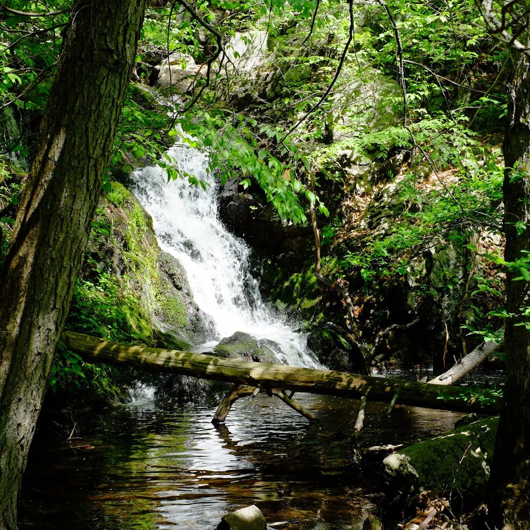 Mianus River Gorge Preserve 3