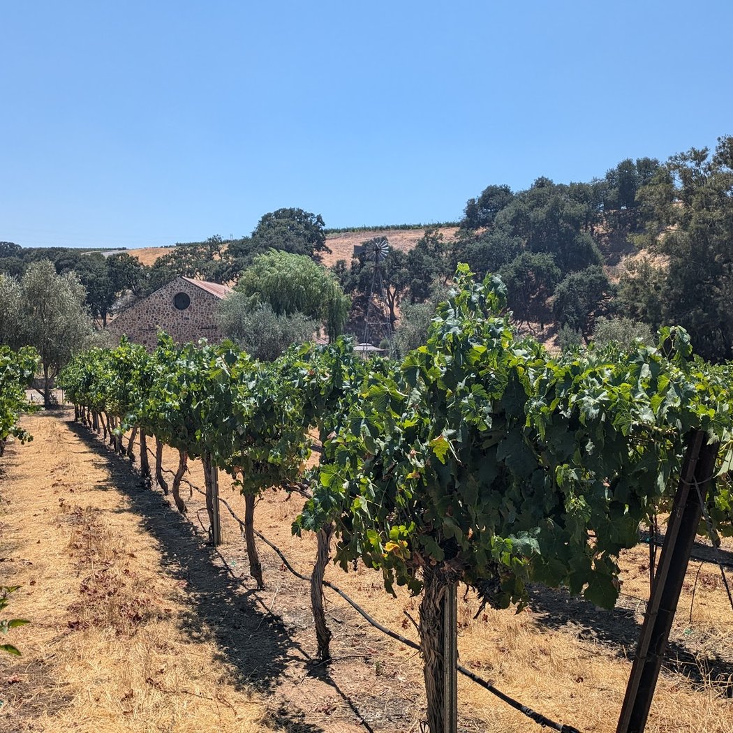 Bent Creek Winery 3