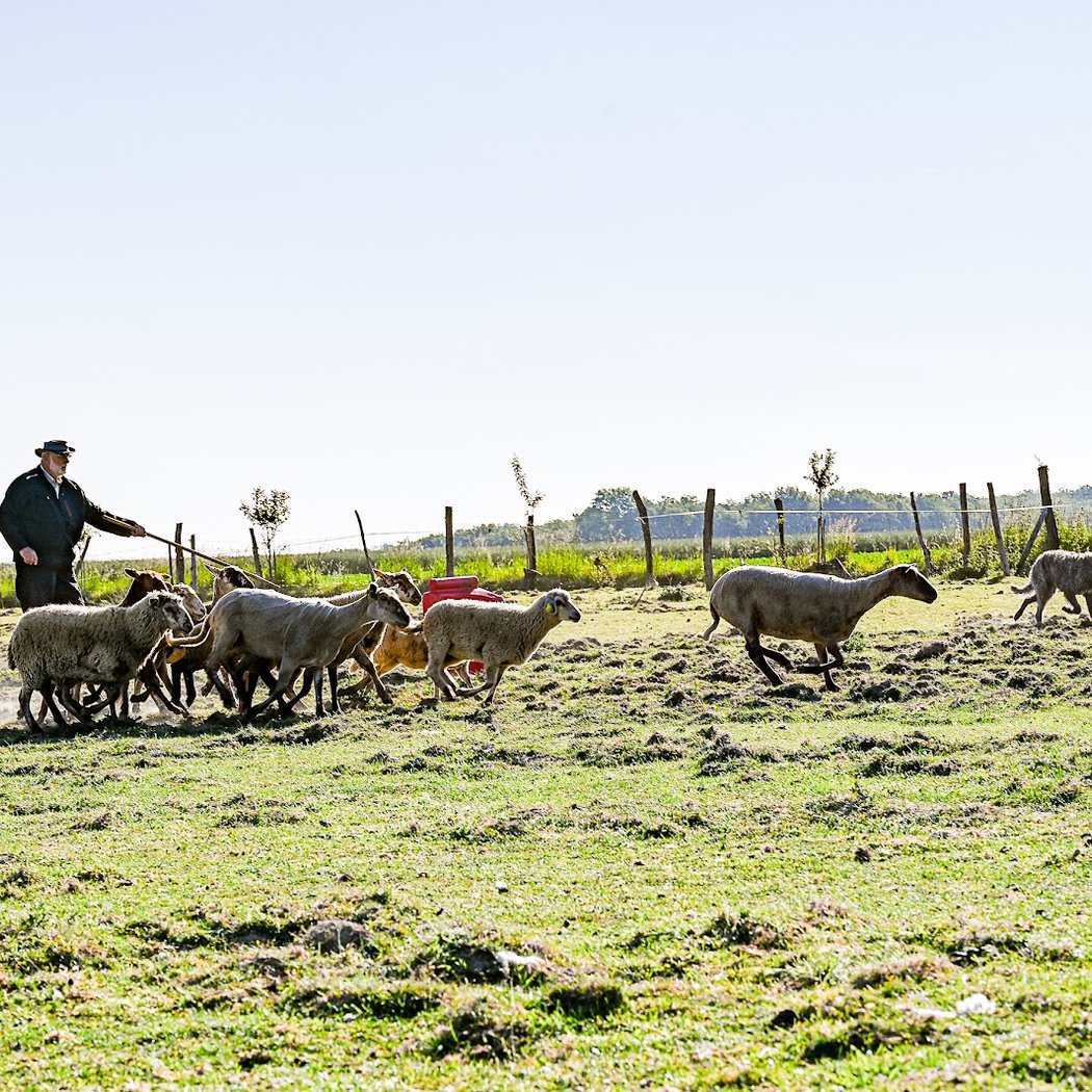 Ferme de Beaumont 1