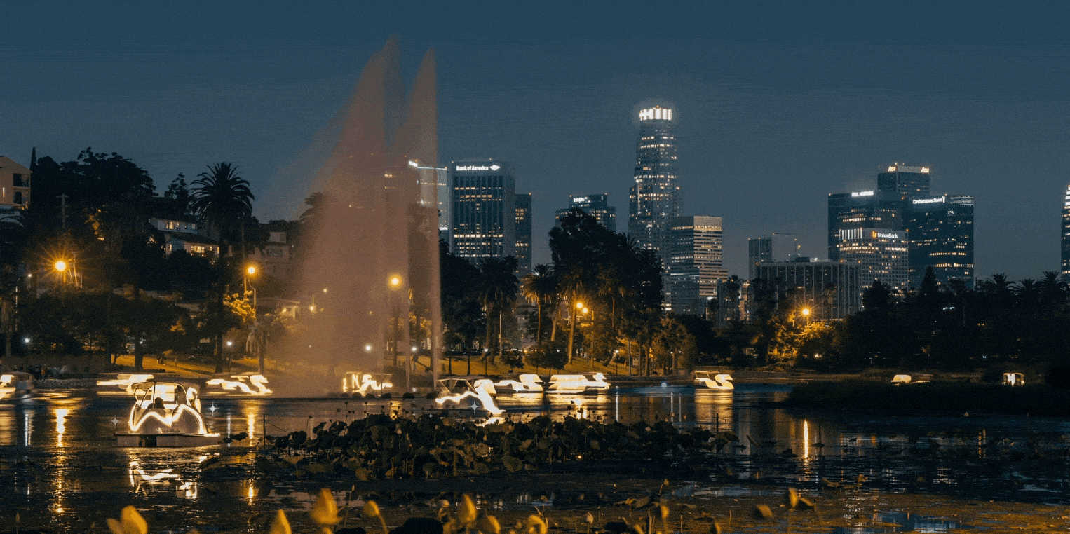 Swan Boat Night Rides