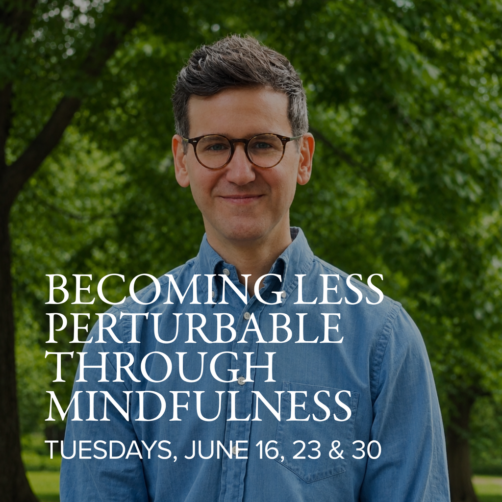 Becoming Less Perturbable Through Mindfulness 1