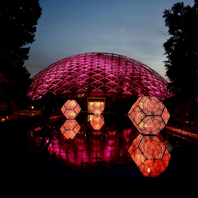 Patterns in Nature: LightForm 3