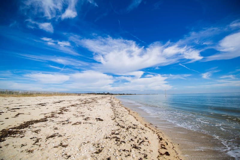 Pointe du Grand Mont 2