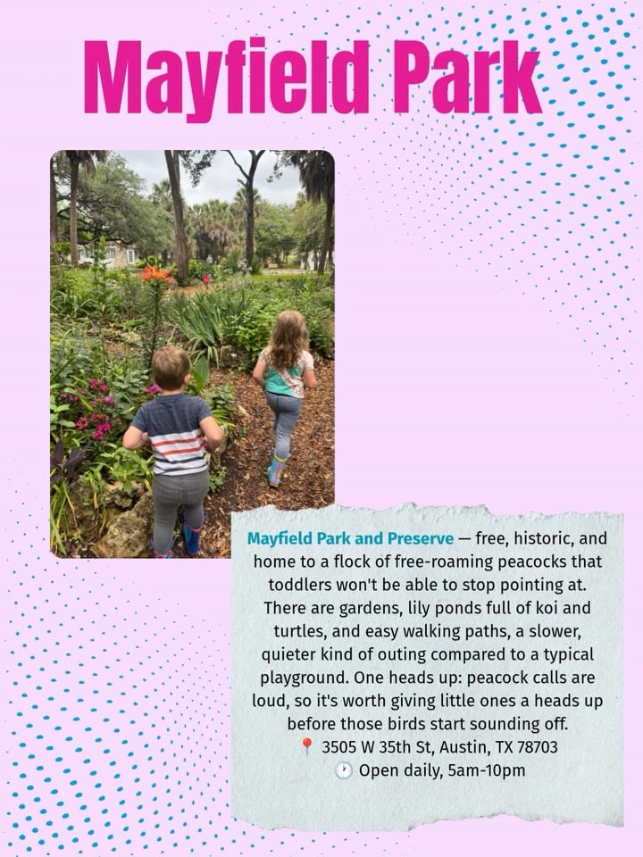 Mayfield Park and Nature Preserve