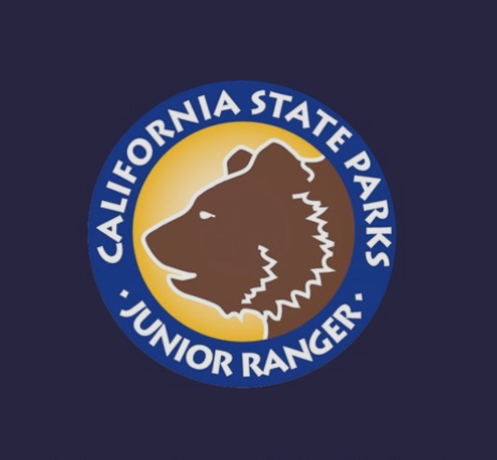 Junior Rangers: Special family work-learn-play day 1