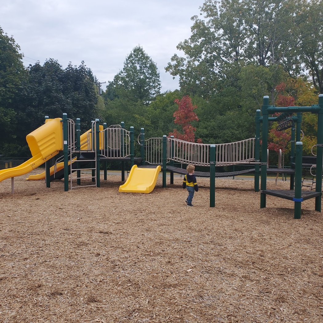 Kindergarten and Young Fives Roundup 2