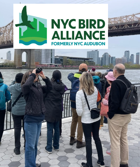 Free Bird Walk 1