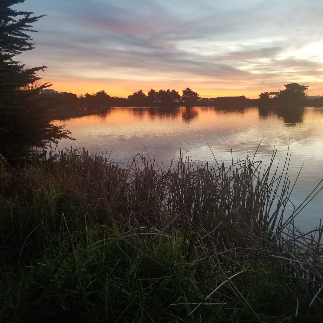 Aquatic Park South Lot 3