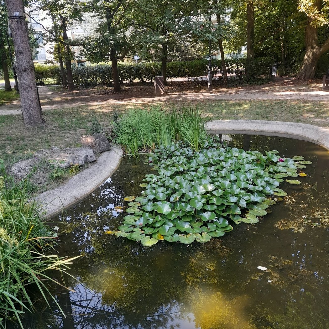 Beach Garden 5