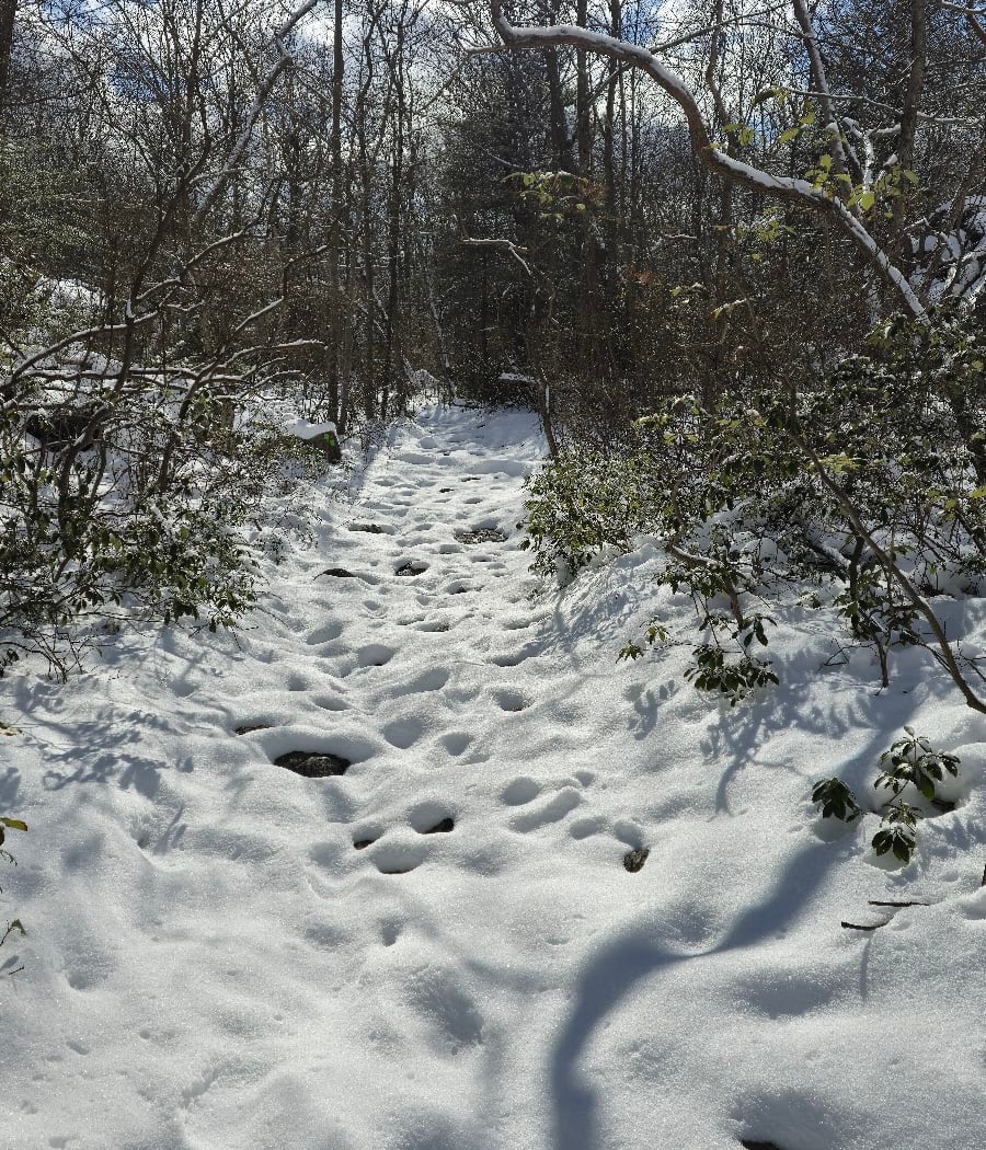Beaufort Ridge and Surprise Lake Loop 3