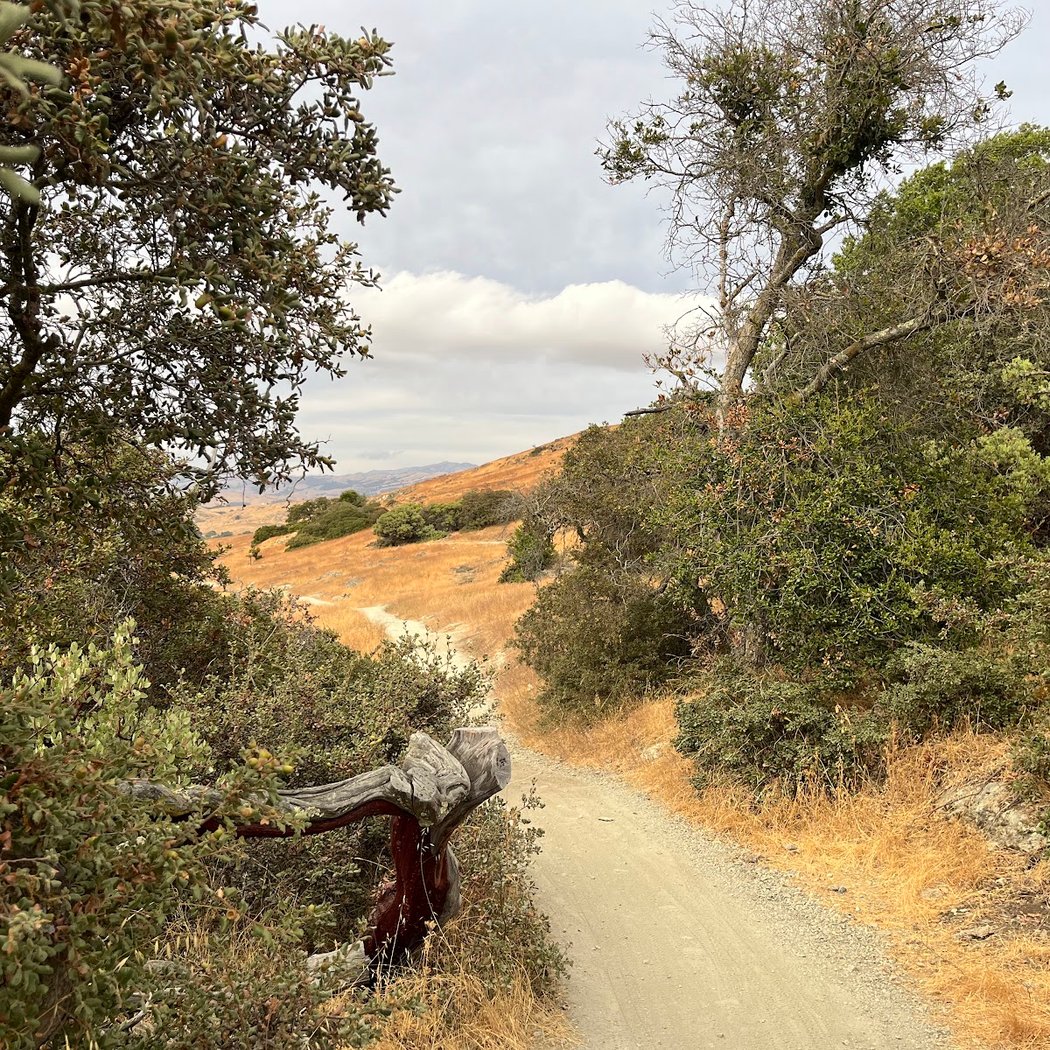 Rancho San Vicente Open Space Preserve 2