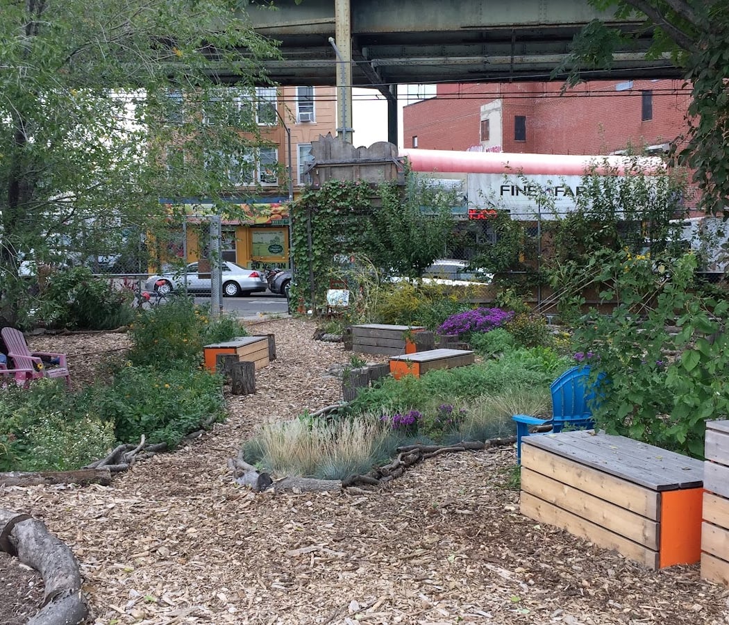 Know Waste Lands Community Garden 3
