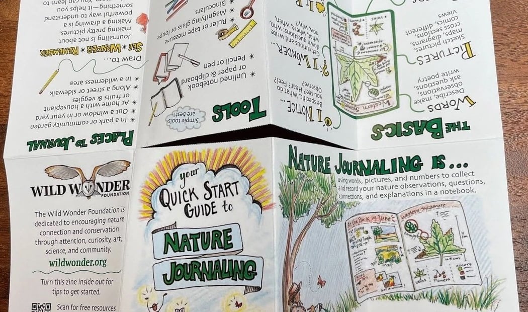 Nature Journal Assembly Session 1