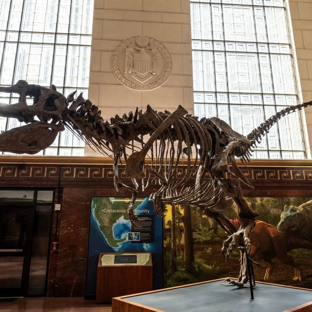 Dinosaur Day 1