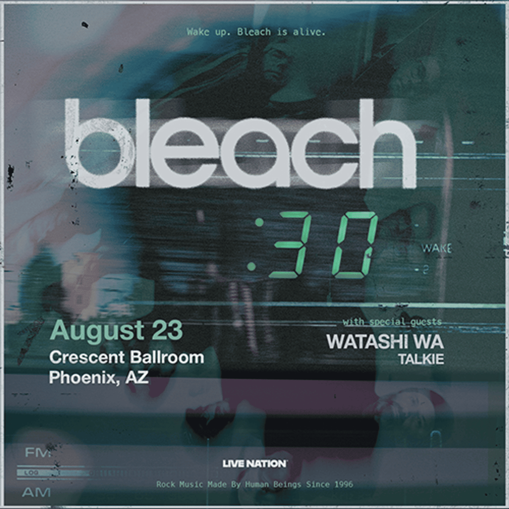 Bleach 1