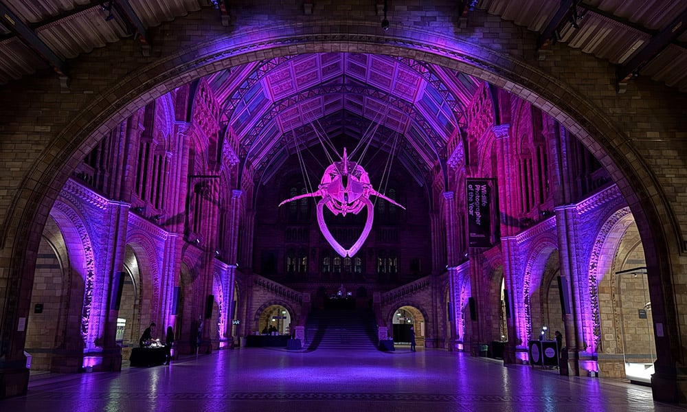 Halloween at the Museum 3