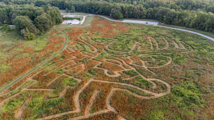 McCloud Prairie Maze