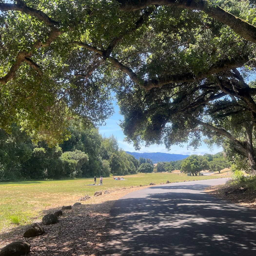 Panorama Trail 3